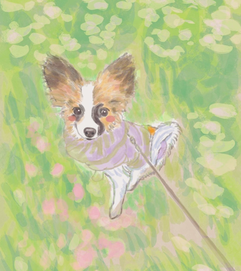 はるかぜ tweet media