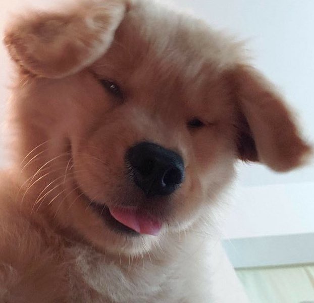 mach.(cms open!) tweet media