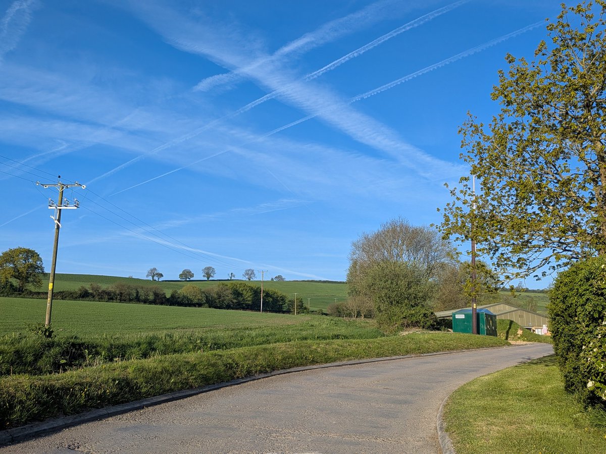 glynn_adams's tweet image. What a beautiful morning here in #somerset ☀️, 21c forecast today 😃