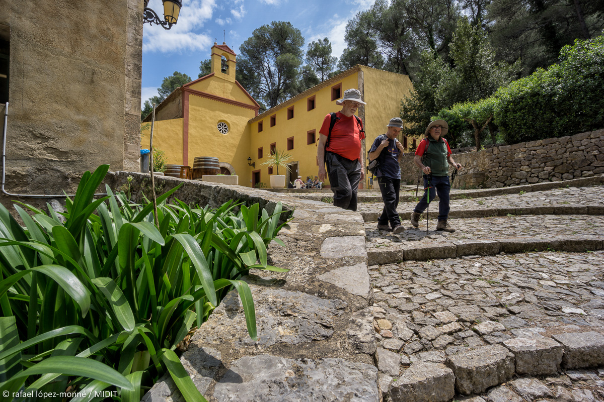 TerresdeMestral's tweet image. Esteu preparats per gaudir d'una gran ruta de #senderisme? 😏
Benvinguts al cor verd de les #TerresDeMestral, #CamíDeMestral 💚

Foto: @lopezmonne
#RutaCircular
#4etapes
#panoràmiques imponents
#OutdoorPark de #mar i #muntanya 💙😍💚
#natura
#esport
#DelEbrealaMediterrània