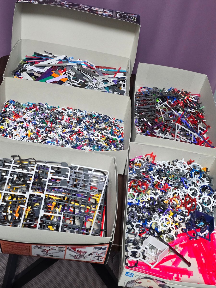 しょごたん(実写版) tweet media