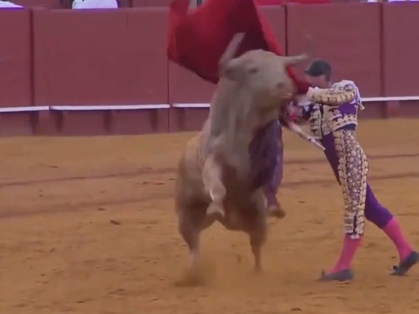 Torear a un toro que embiste à la muleta con nobleza, humillando y sin peligro, es un gustazo para cualquier torero con un minimo de sensibilidad ….. otra cosa es dominar y torear al toro complicado y dificil. 
Dicho esto Diego impregno de buen toreo la Maestranza. 👍