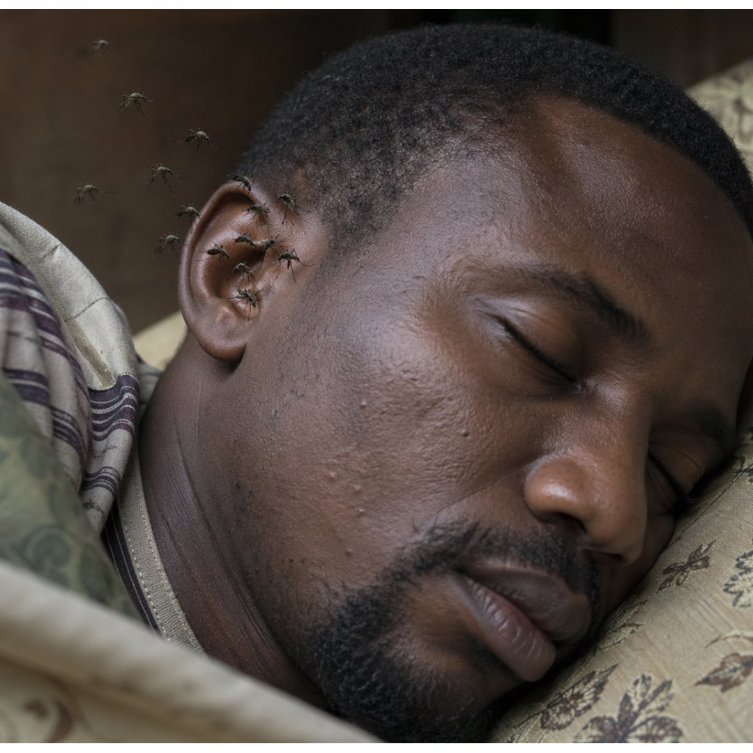 celebritypharm's tweet photo. Malaria keeps coming back  after Treatment? 

There are 3 major reasons why this happens 

Let's talk about it in the comments 

Come with me 👇 https://t.co/z2aoyBZNSW