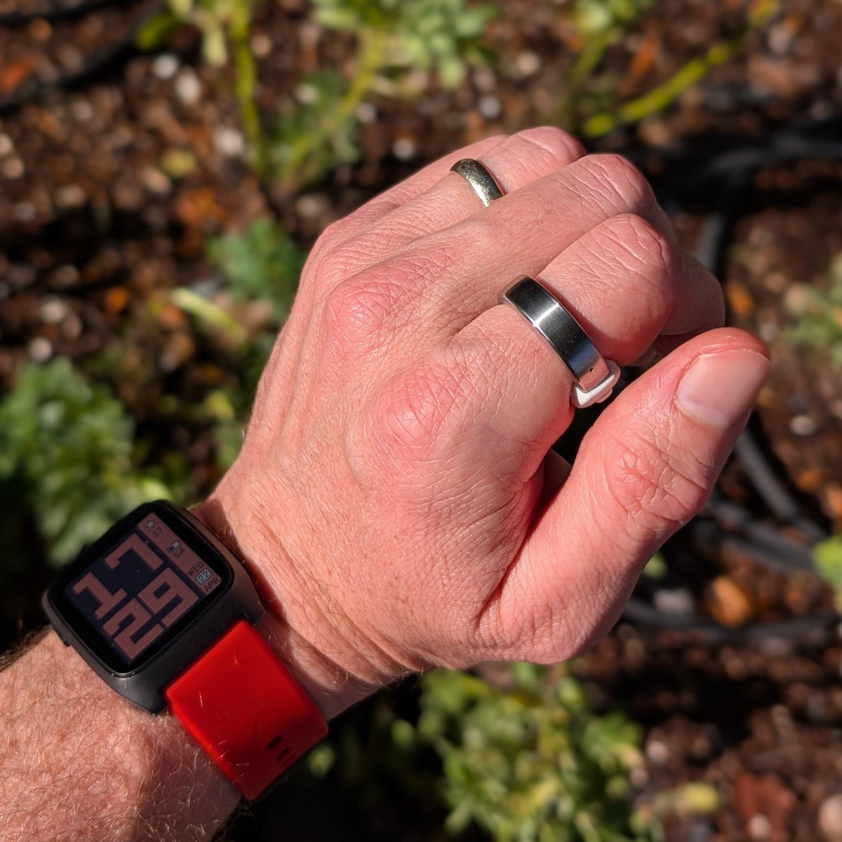 Eric Migicovsky tweet media