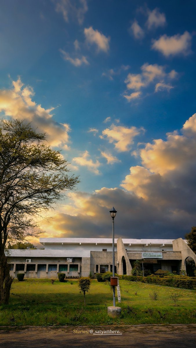 𝐒𝐚𝐓𝐲𝐀𝐦 ♠️ tweet media