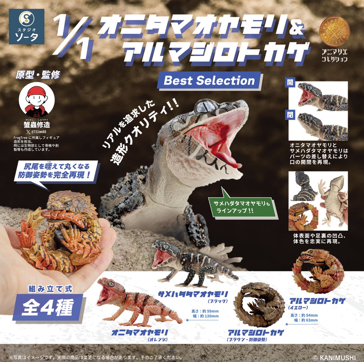 WITH ダンプリチケ　アゲアゲアイテム　マガジンチケ　まとめ売り セットがお得。 | アマタケオンラインショップ
