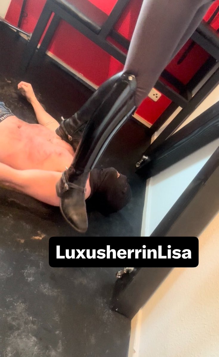 LisaMatzen tweet media