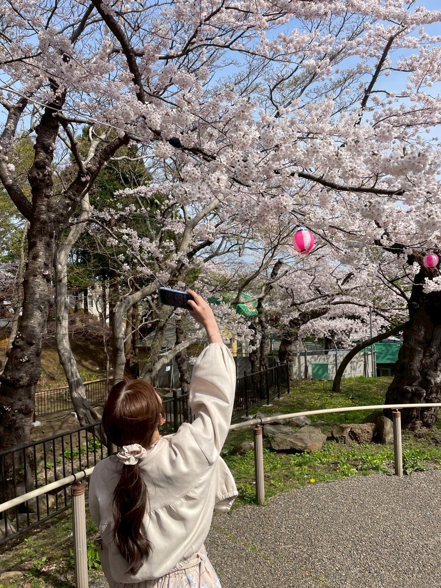 mil_ao26's tweet photo. お花見してパンケーキ食べてきた🌸
あまりにも春。 https://t.co/xYvpZpWIJT