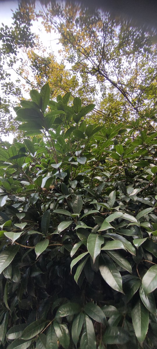 Encarni tweet media