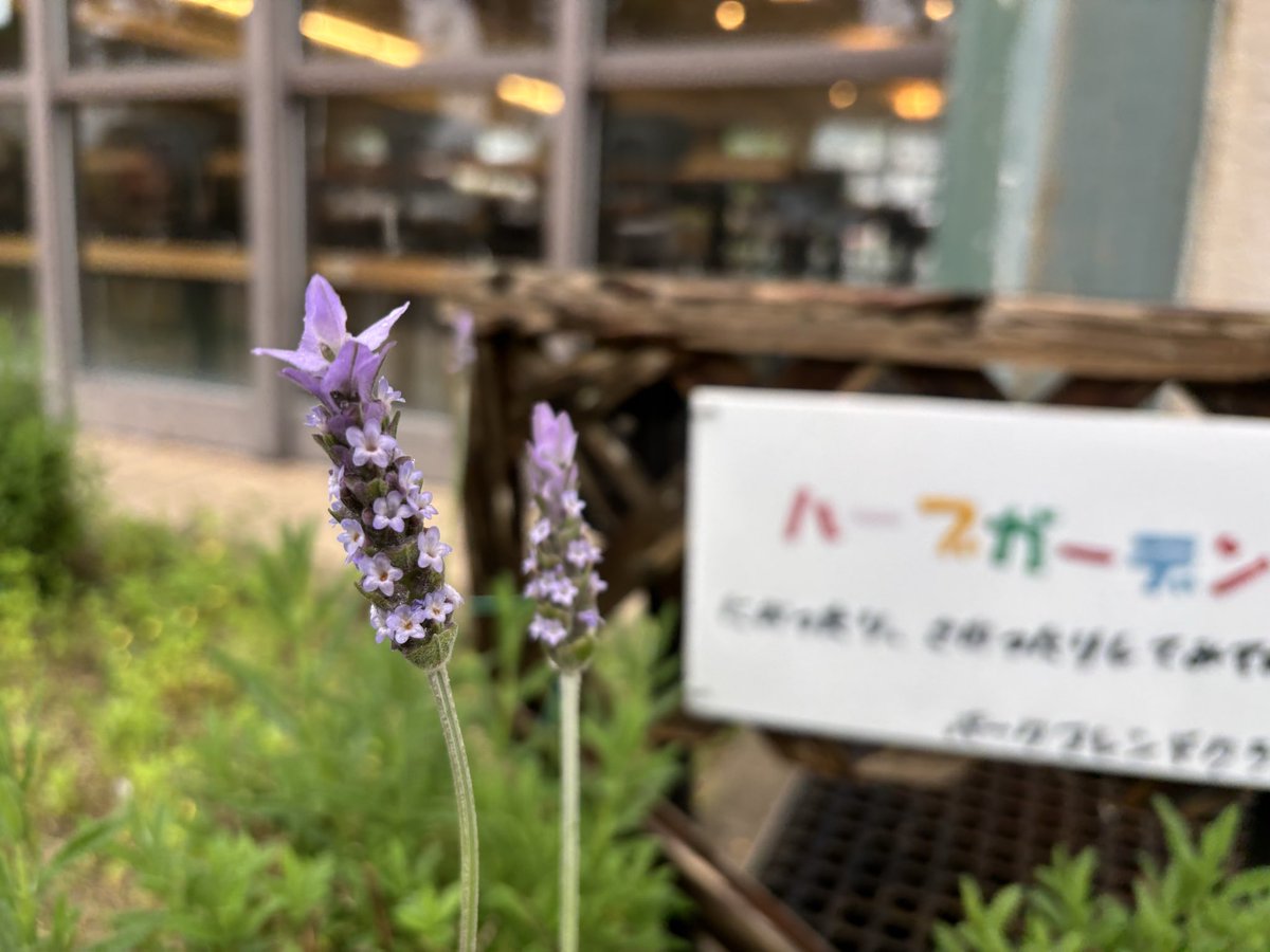 呉ポートピアパーク tweet media