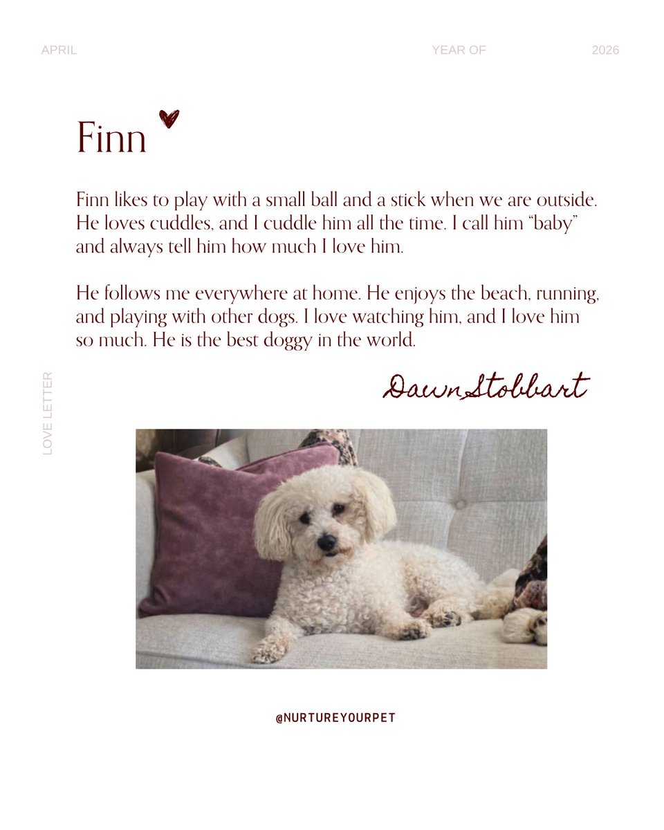 NurtureyourPet's tweet image. Share their world with us.
Their personality. Their funny moments.
The way they stay close, no matter what.
The bond only you understand. 🤍
We’re here for it…
 and this is just the beginning.

➡️ To be continued

#nurtureyourpet #sharetheirstory #petstories