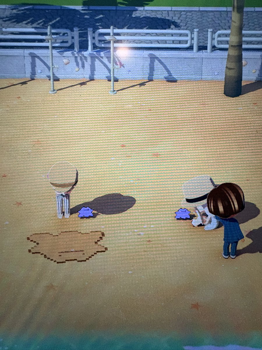 しろえび🌼🌱、💍🌈 tweet media