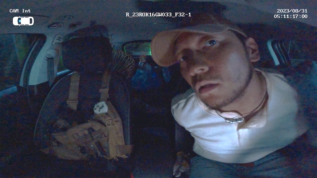 映画ナタリー tweet media