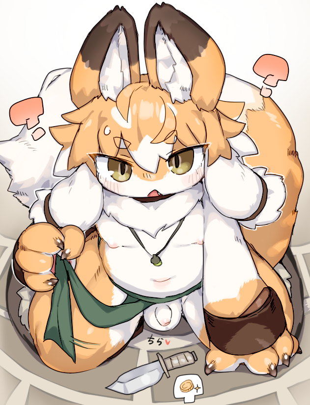 ふんどし上げたら金貨を貰える