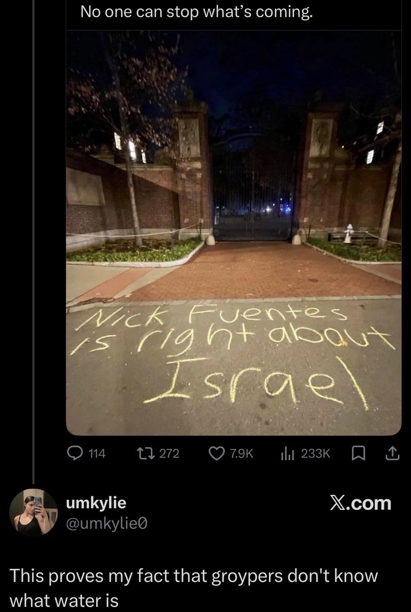 groypcore tweet media