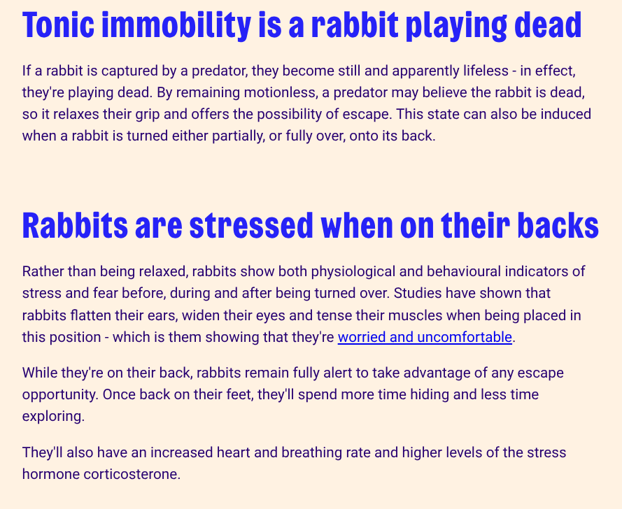 ʚ Lila ɞ tweet media