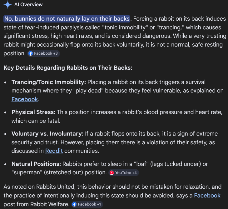 ʚ Lila ɞ tweet media