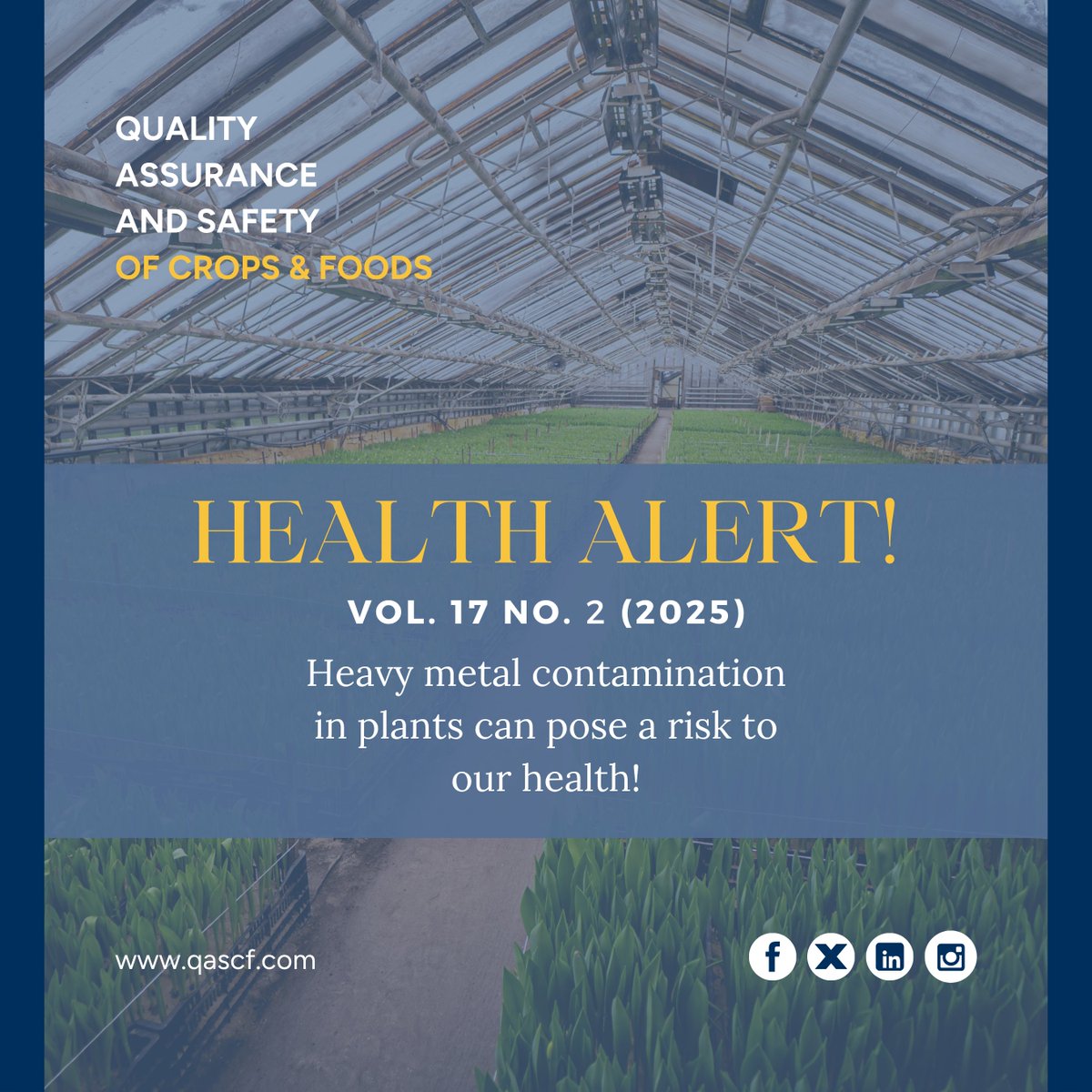 journalQAS's tweet photo. Heavy metal stress in Chinese cabbage (Brassica chinensis L.) can reduce growth and increase harmful metal accumulation, highlighting the need for safe cultivation practices.
Read more: https://t.co/DRBNFA1s7t
#FoodSafety #HeavyMetals #CropQuality #Research https://t.co/OyxuUqhY6A