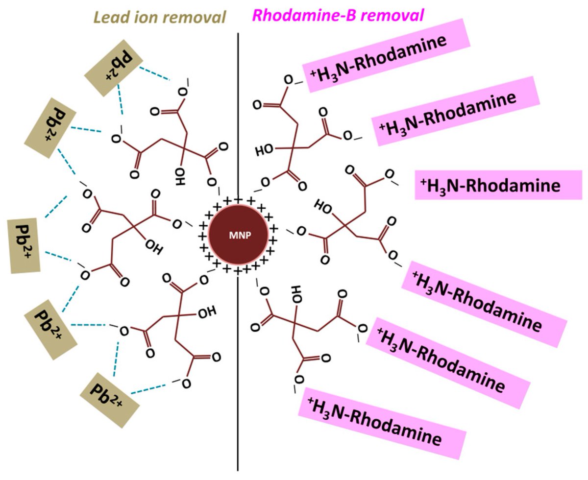 Magnetochem's tweet image. 📖🖍️Check out the #Article📢 
"Preparation, Characterization, and Application of Citrate-Functionalized Cobalt-Doped Iron Oxide #Nanoparticles for Rhodamine Dye and Lead Ion Sequestration"
by Barid Baran Lahiri et al.

Access the full paper here👉
brnw.ch/21x1QOp