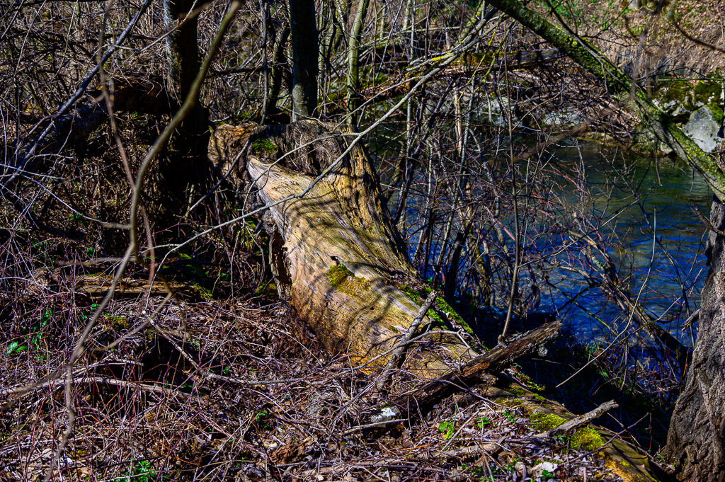 joeletique's tweet image. à l'affut
#naturephotography #naturelovers #naturphoto #paysage #voyage