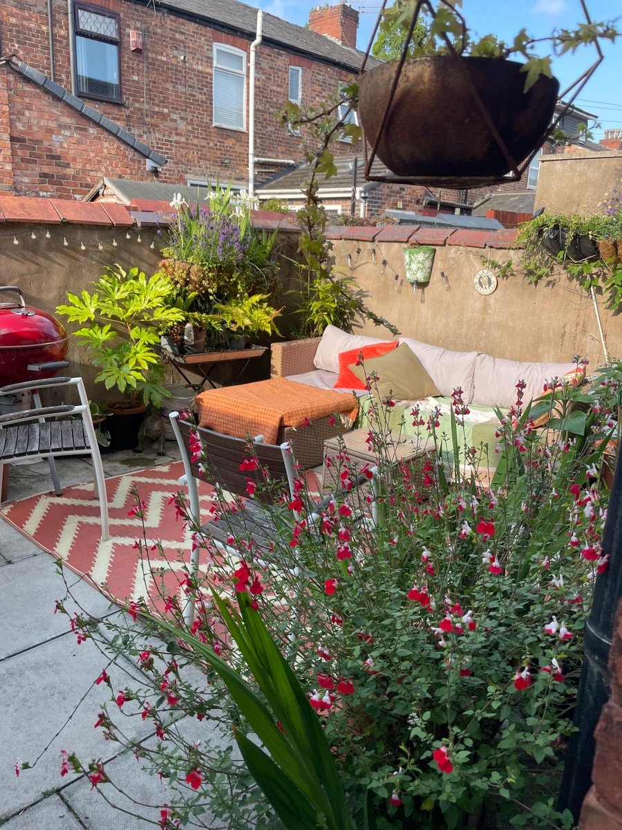 Jayne McCubbin tweet media