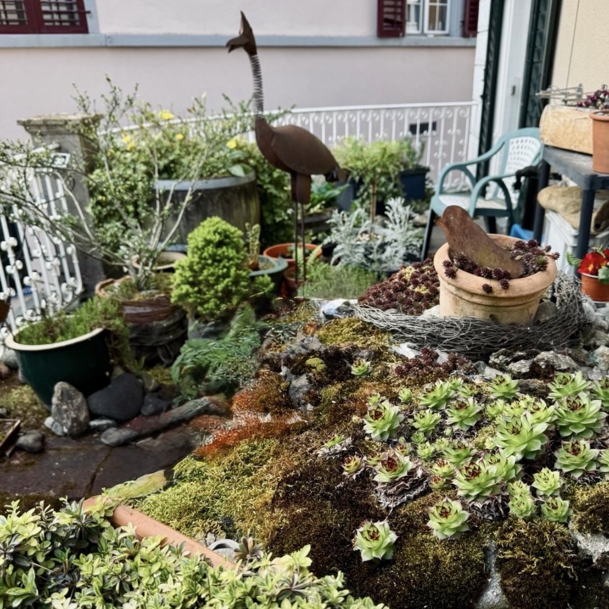 Jayne McCubbin tweet media