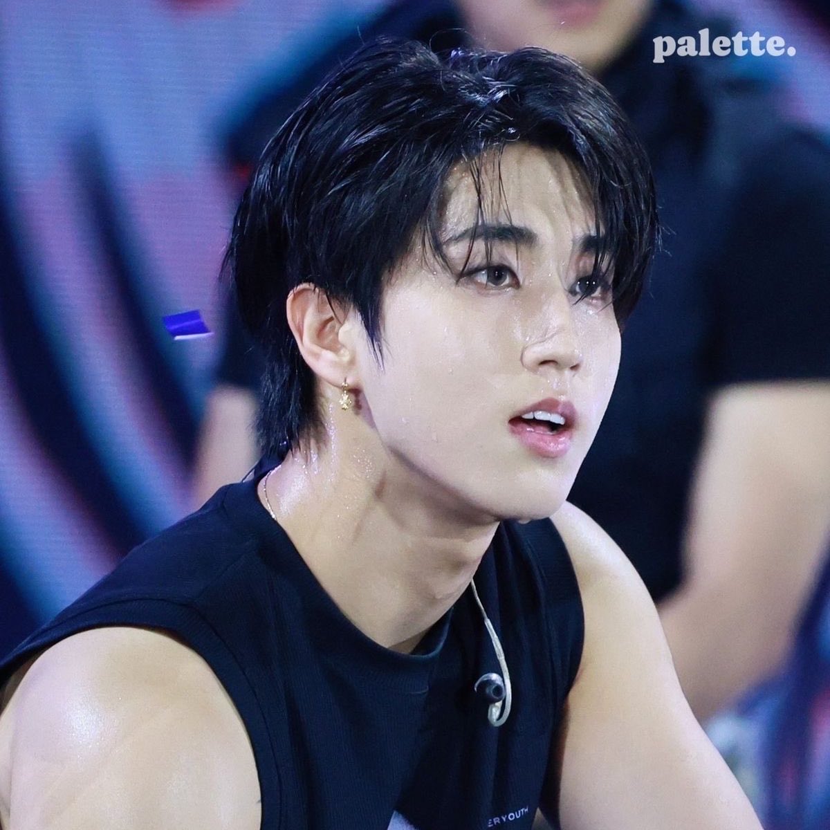 Han Jisung Base tweet media