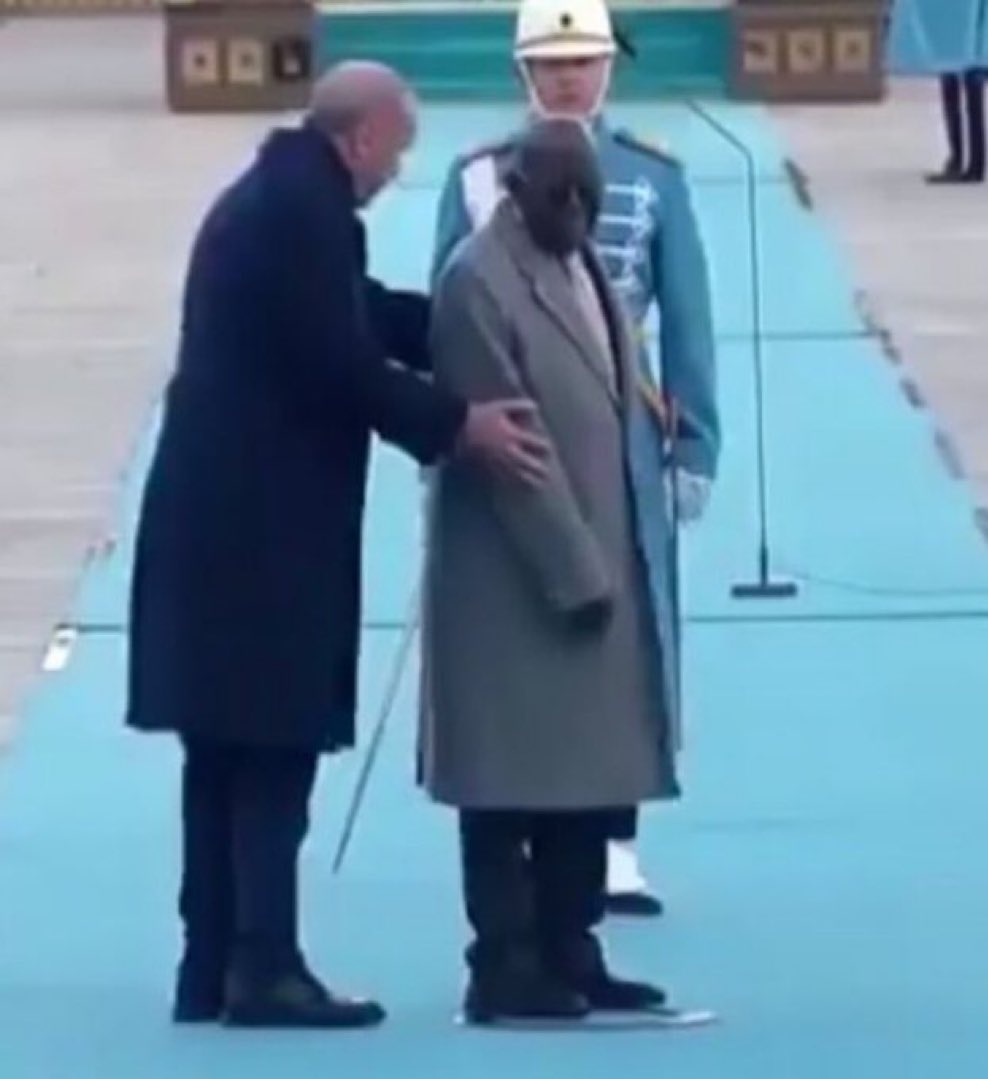 Harry Da Diegot tweet media