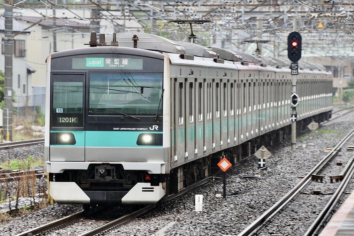 TransNana tweet media