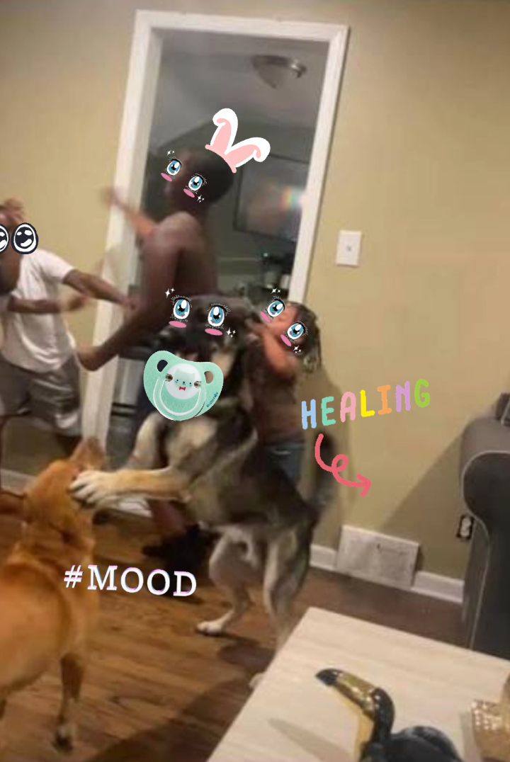 plads_pads's tweet image. Whole house #healing ✨🍼❤️