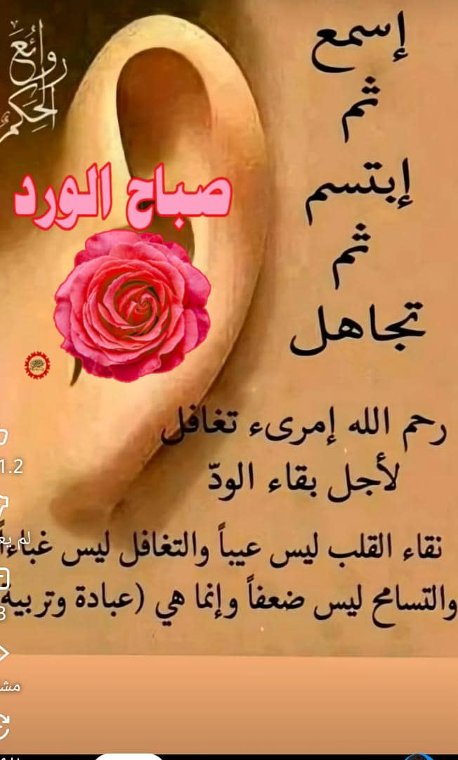 مصممه ازياء صنعانيه tweet media