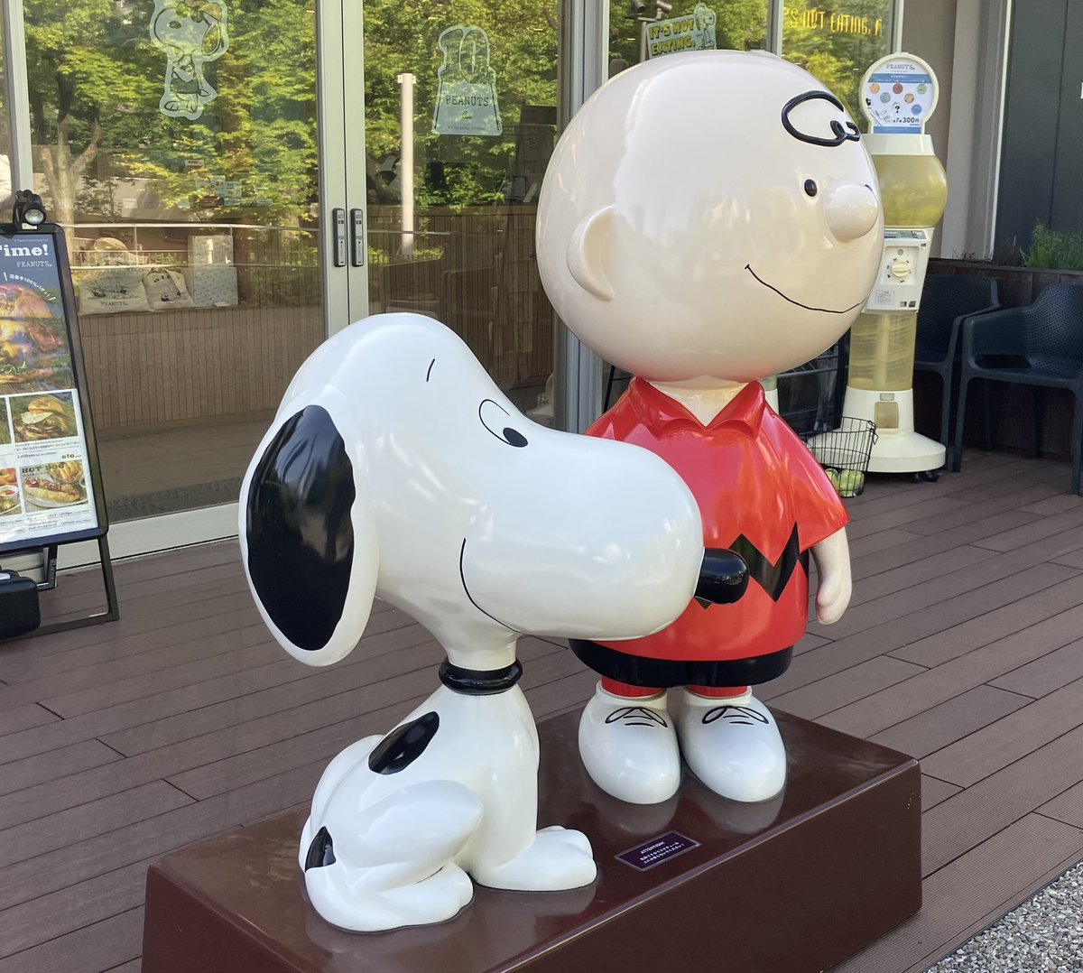 めぐさん tweet media