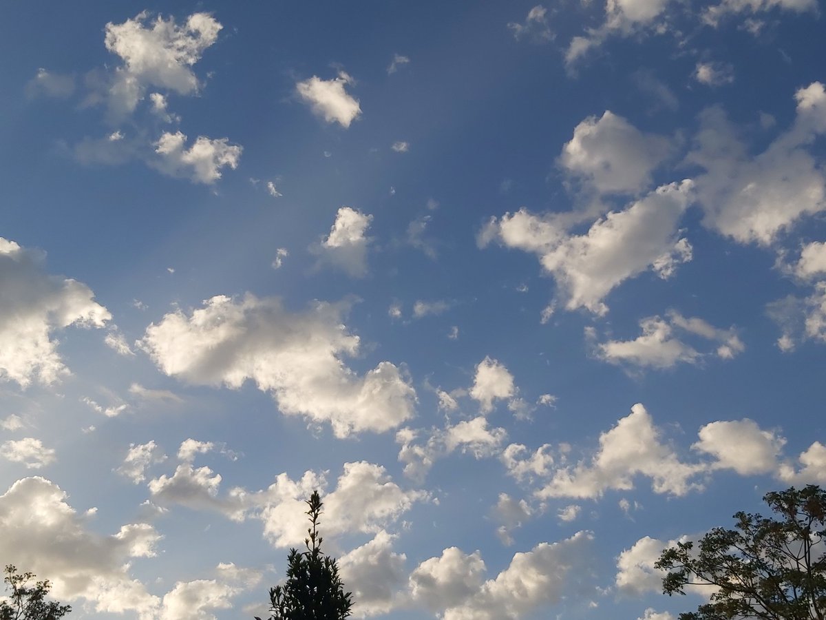 purereason1972's tweet image. Cielo ahora en #Barcelona azul,nubes de algodón. Hoy hace más frío que ayer y no se ven rastros de estelas. No hay más ciego que el que no quiere ver.
Esperemos que dure ya que durará hasta lo que ellos quieran
#Geoingeniería