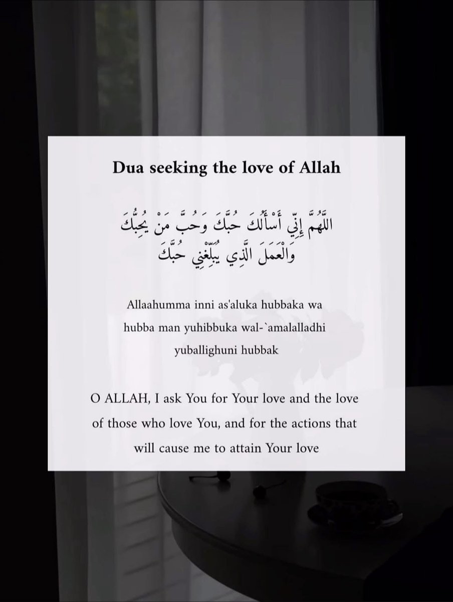 𝐌𝐚𝐡𝐝𝐢 tweet media