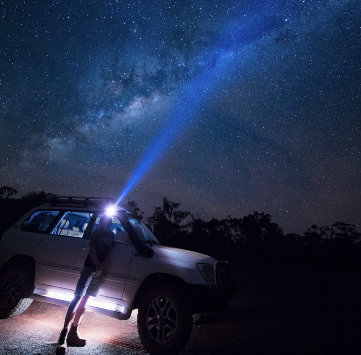 Robert Irwin tweet media