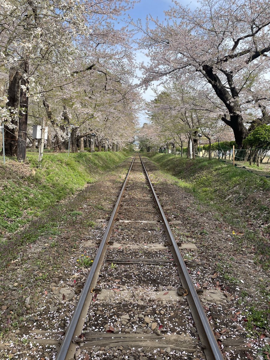 工藤清一＠日本プロ麻雀連盟 tweet media