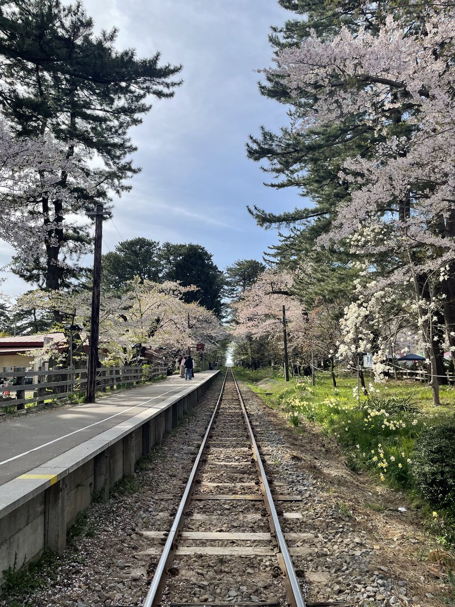 工藤清一＠日本プロ麻雀連盟 tweet media