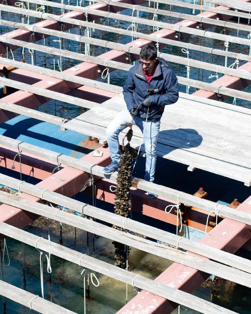 Valenciaturismo's tweet image. ¿Te apetece un plan diferente en València?🦪🌊 
 
Súbete a un catamarán, visita los viveros y degusta clóchinas con una copa de vino frente al mar 🍷
 
Reserva tu plaza y descubre más 👇
 
visitvalencia.com/agenda-valenci…
 
#VisitValència #València