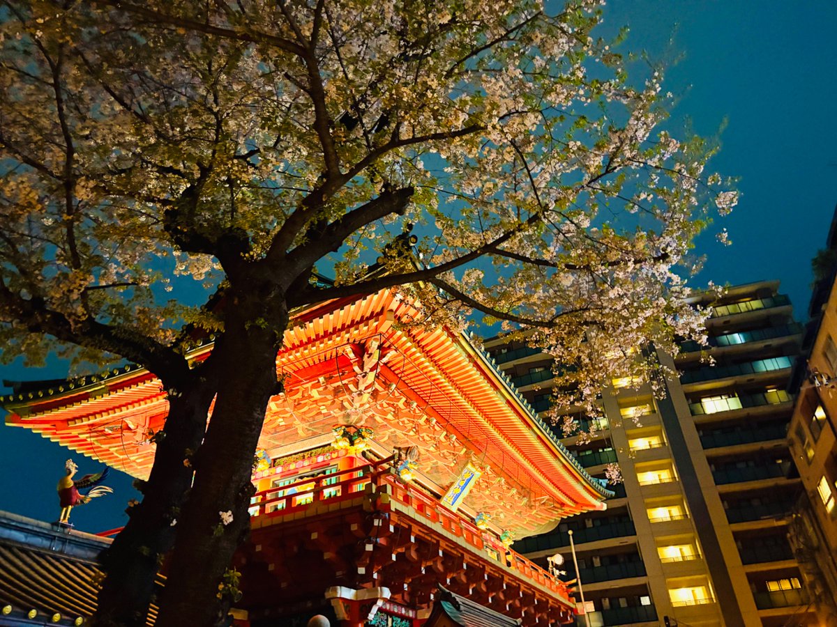 すーさん tweet media