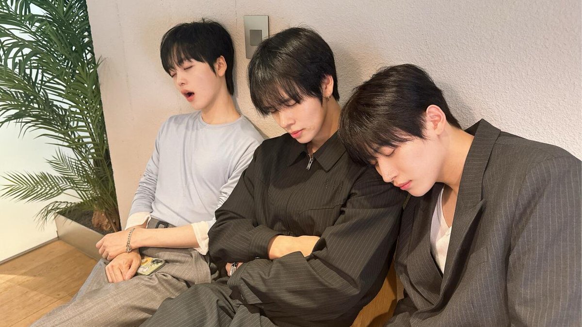 쭌베 tweet media