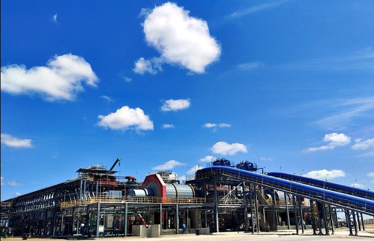 ZimPulse tweet media