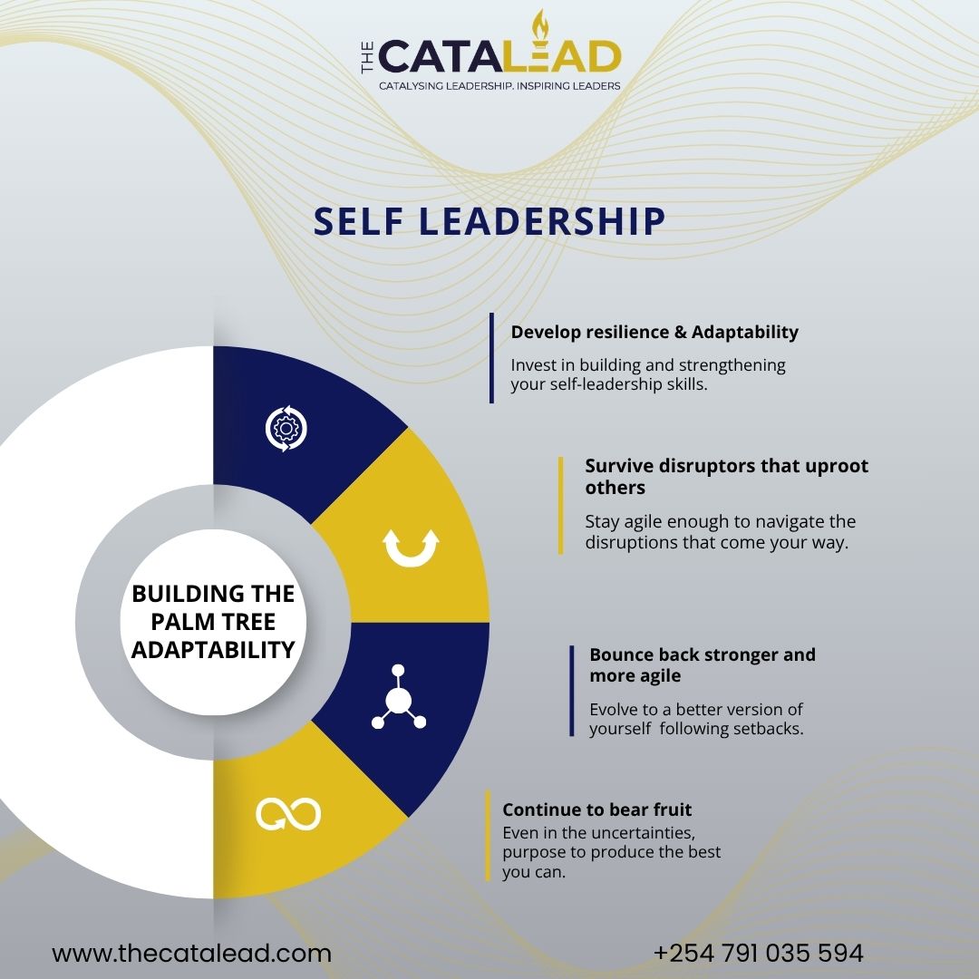 The Catalead tweet media