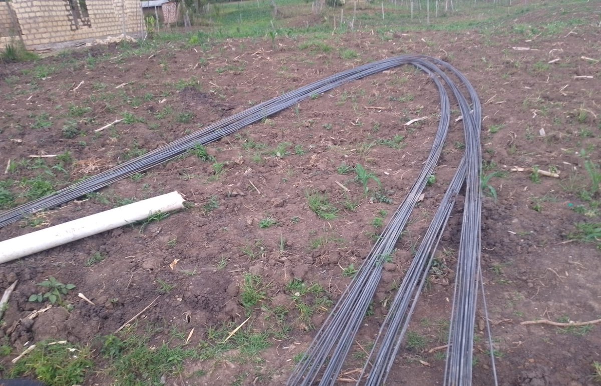 EchoesOfAigi tweet media