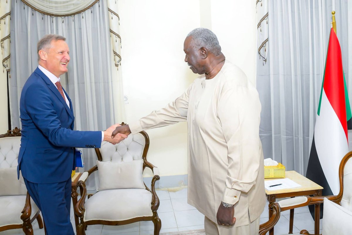 European Union In Sudan tweet media