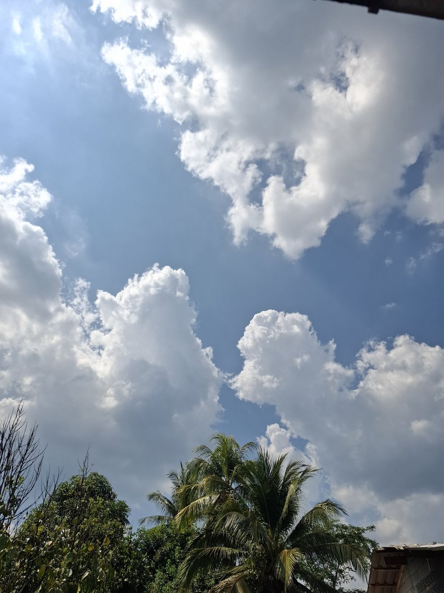 jeabjeabtanya(ผอ.ที่รัก) tweet media