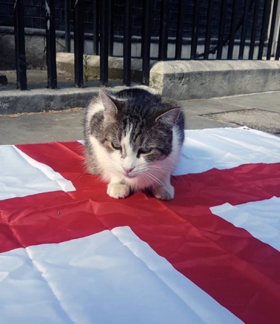 Larry the Cat tweet media