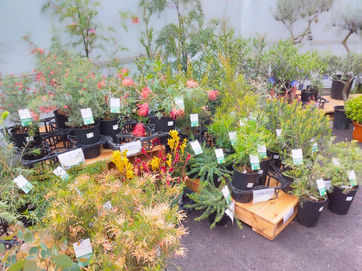 ガーデンセンター情報】 本日OPEN！ ジョイフル本田資材館 FARM