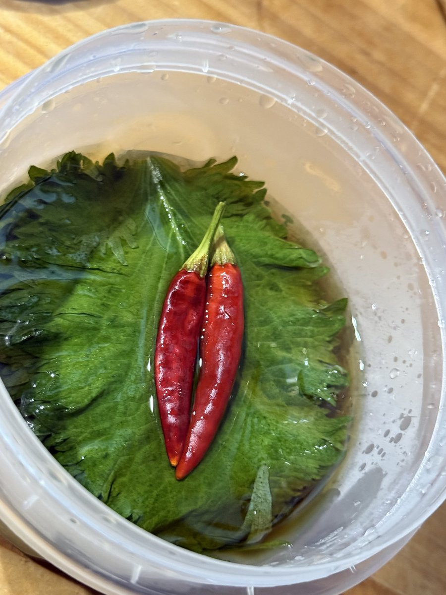 simanto工房 tweet media