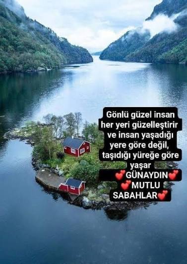 Serdar Aksarı tweet media