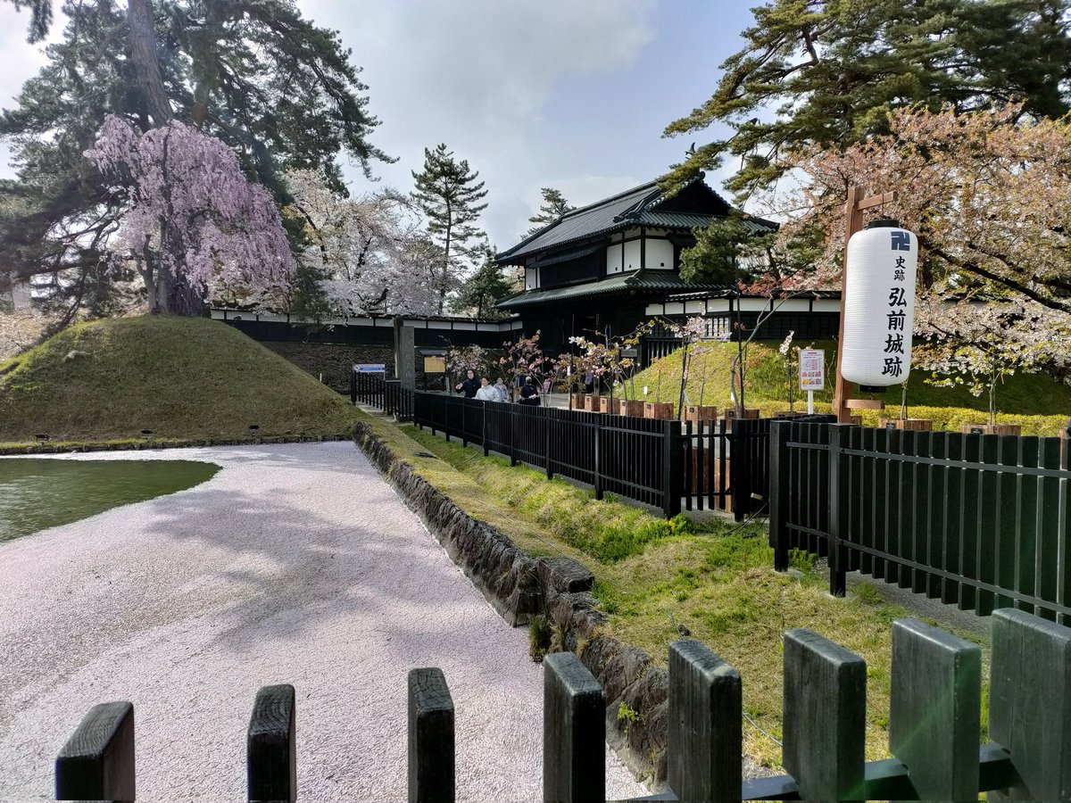 えるしっているか

青森はいま桜が咲いている